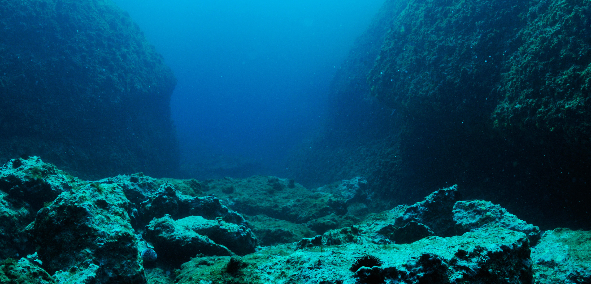 header2-deep-sea-mining-code