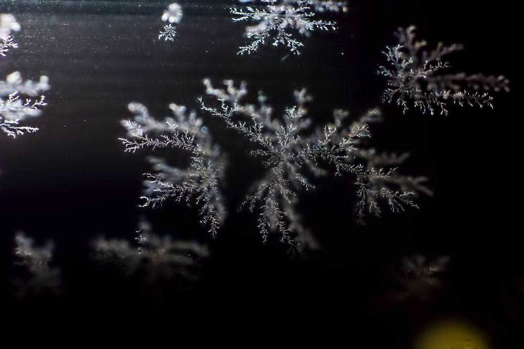 A coisa estranha que surgiu no meu banheiro