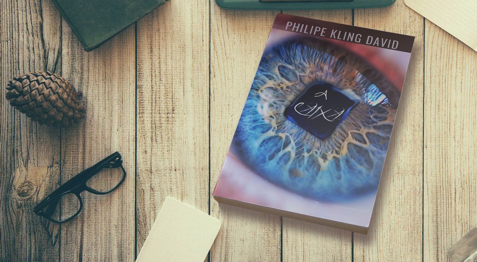 A Caixa – O livro : Passou dos 70% já. Agora vai!