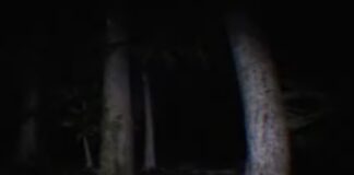 A vinheta sinistra do Mundo Gump