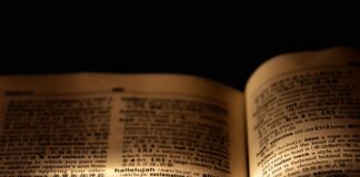 Curiosas palavras intraduzíveis