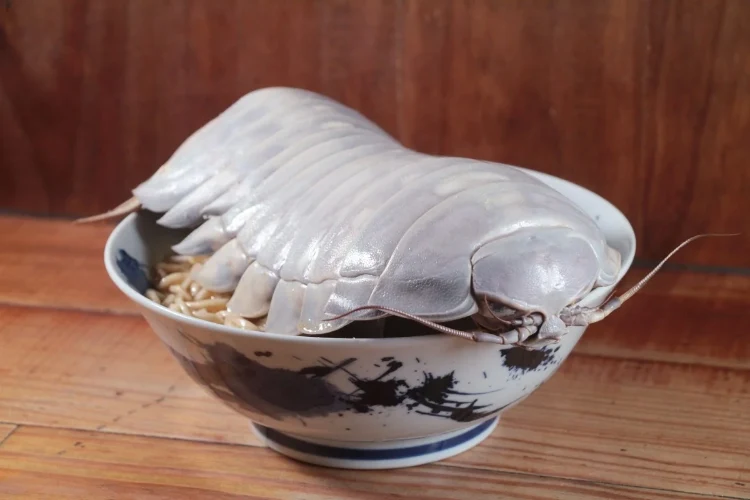 Isopod Ramen | Bizarro | bizarro, comida, estranho, godzilla