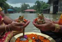 Os sapos que se divorciaram