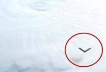 O UFO de Phoenix registrado novamente num feed da ISS. Será?