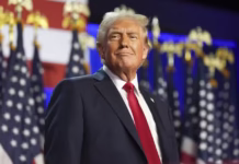 A morte da internet, tarifaço, trabalhos e assuntos aleatórios