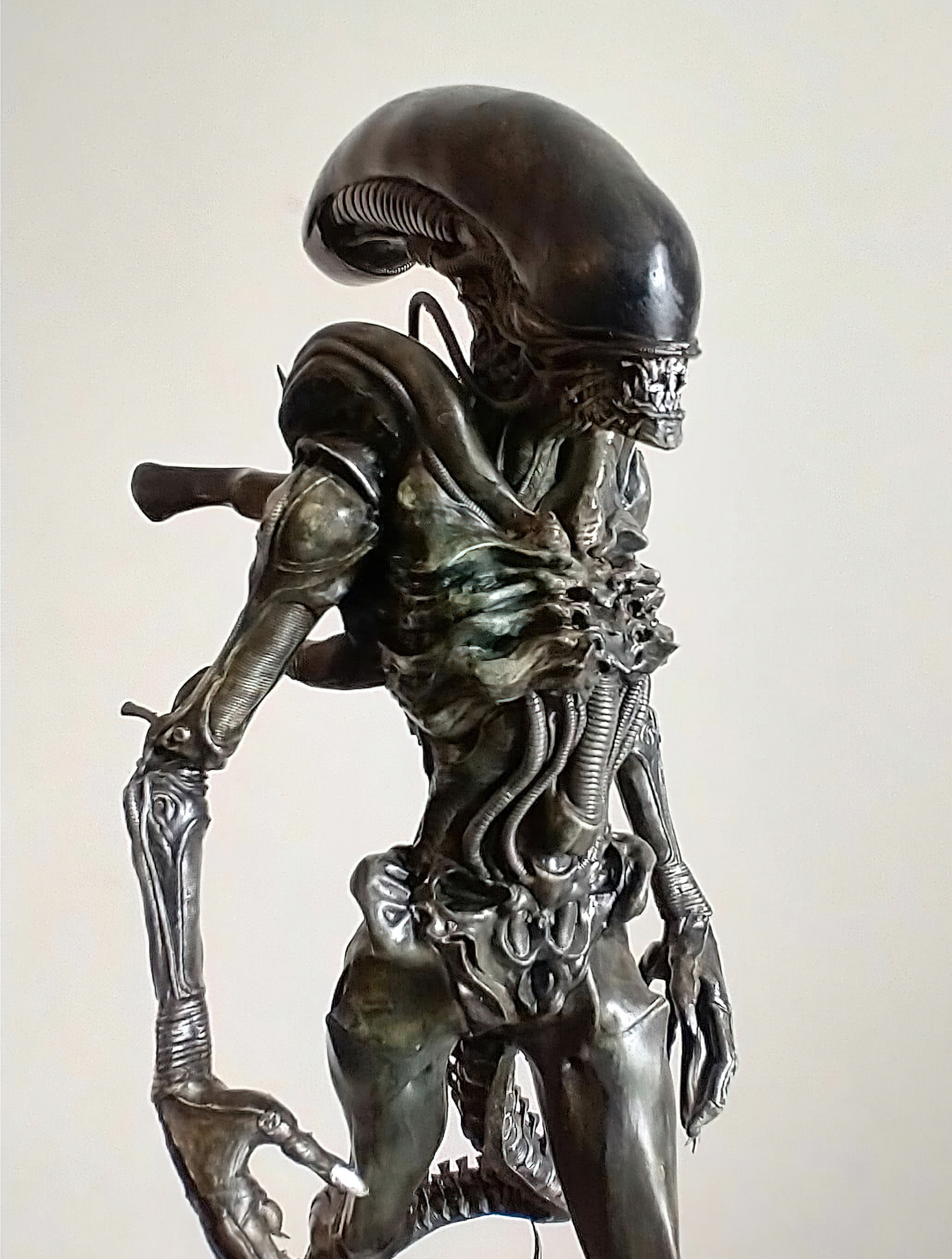 pesrpectiva | aliens | aliens