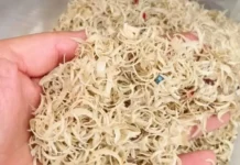 Ganhar dinheiro vendendo suas unhas cortadas