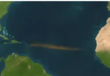 A monstruosidade de algas do Atlântico já pode ser vista do espaço