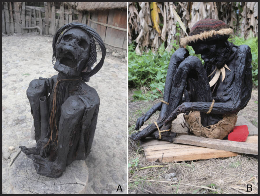 papua indonesia smoked bodies | Curiosidades | bizarro, curiosidades, morte, mumias