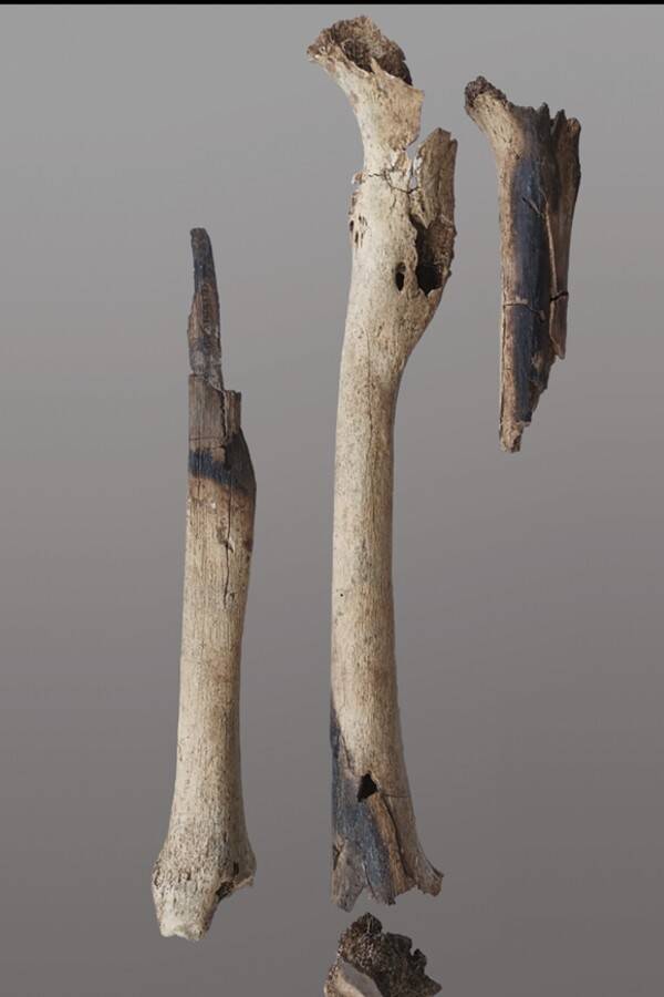 bones with burn marks | Curiosidades | bizarro, curiosidades, morte, mumias
