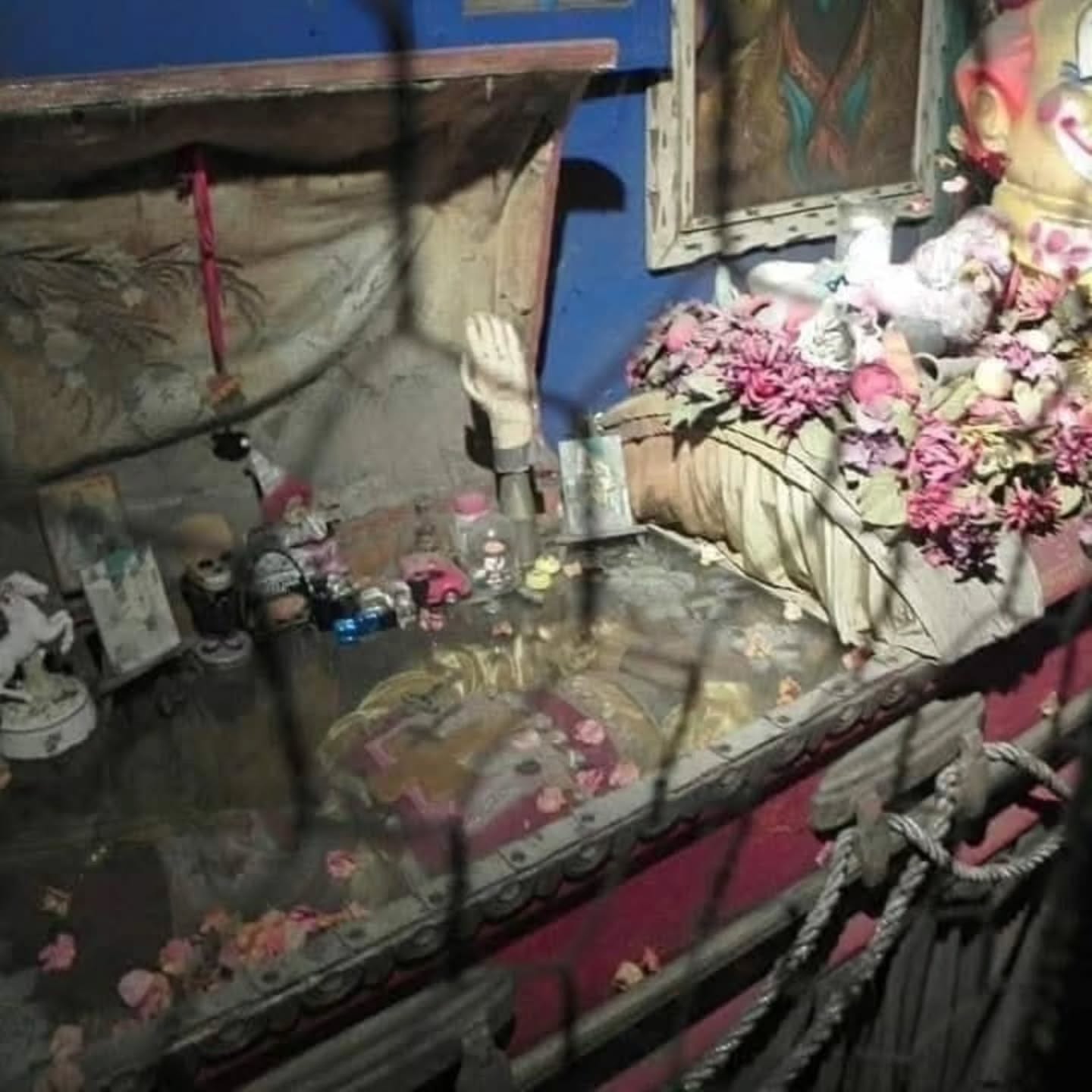 506333006 696765819656961 2593443784447605807 n | Bizarro | bizarro, curiosidades, mortre, palhaço, sinistro, venenoso