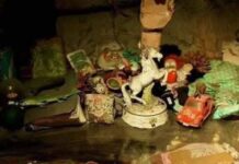 Achile Chatouilleu: O macabro palhaço venenoso embalsamado